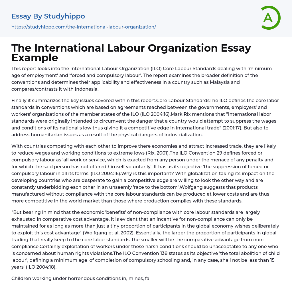 The International Labour Organization Essay Example