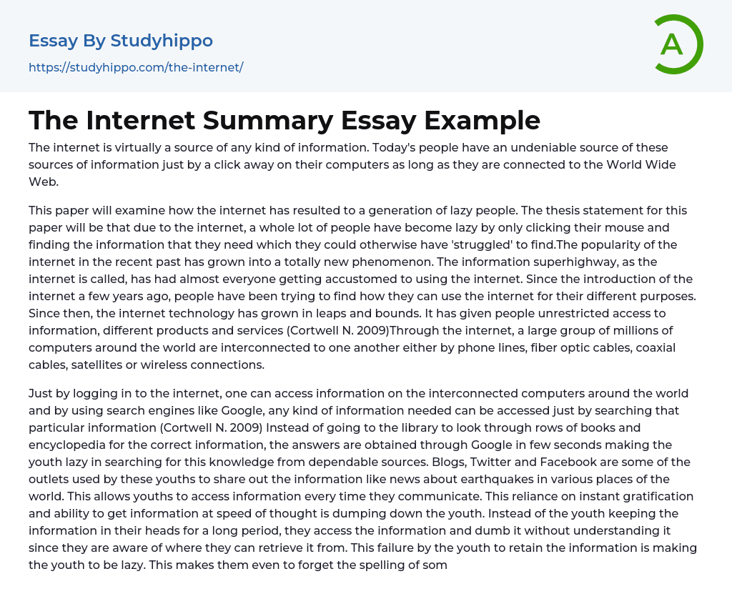 The Internet Summary Essay Example