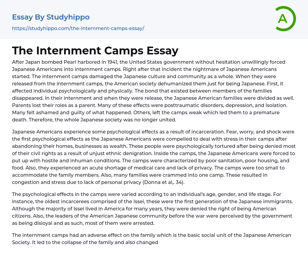 The Internment Camps Essay