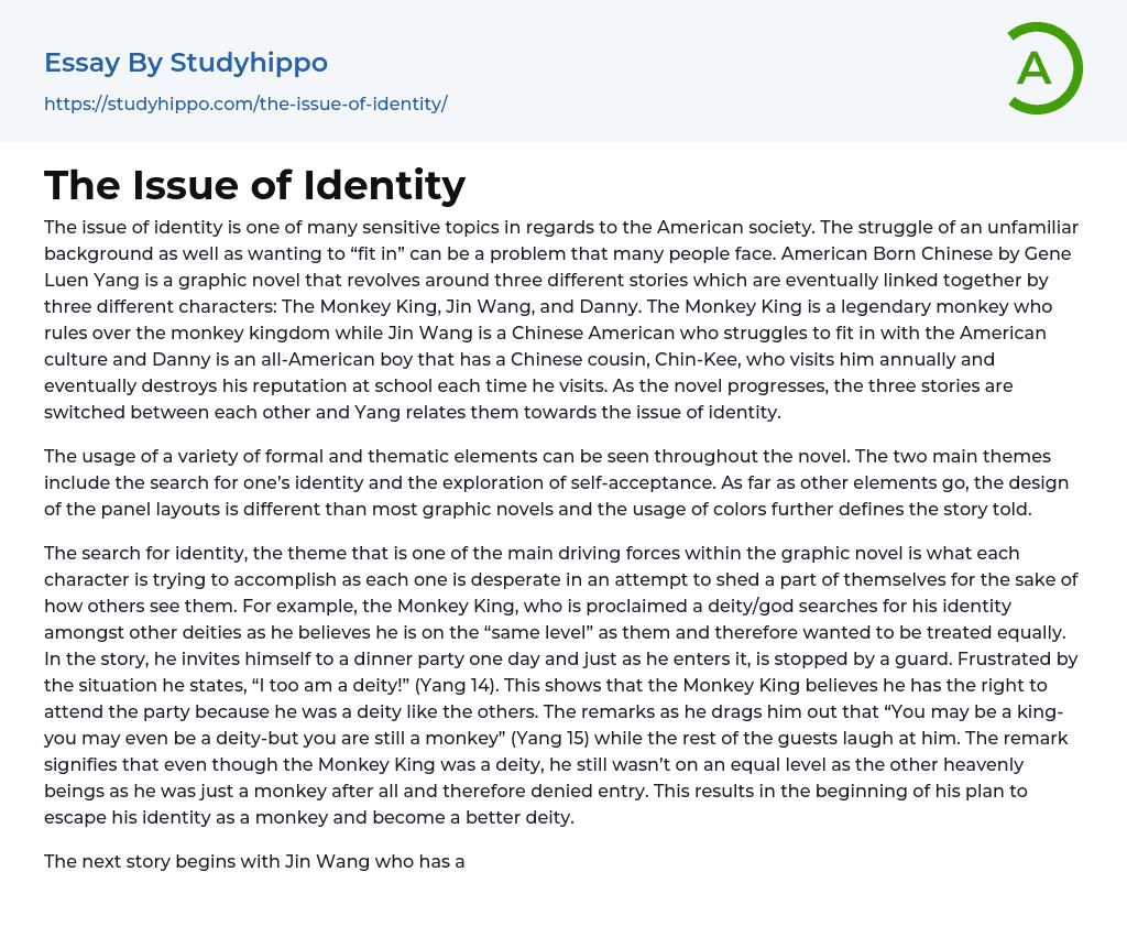 The Issue of Identity Essay Example
