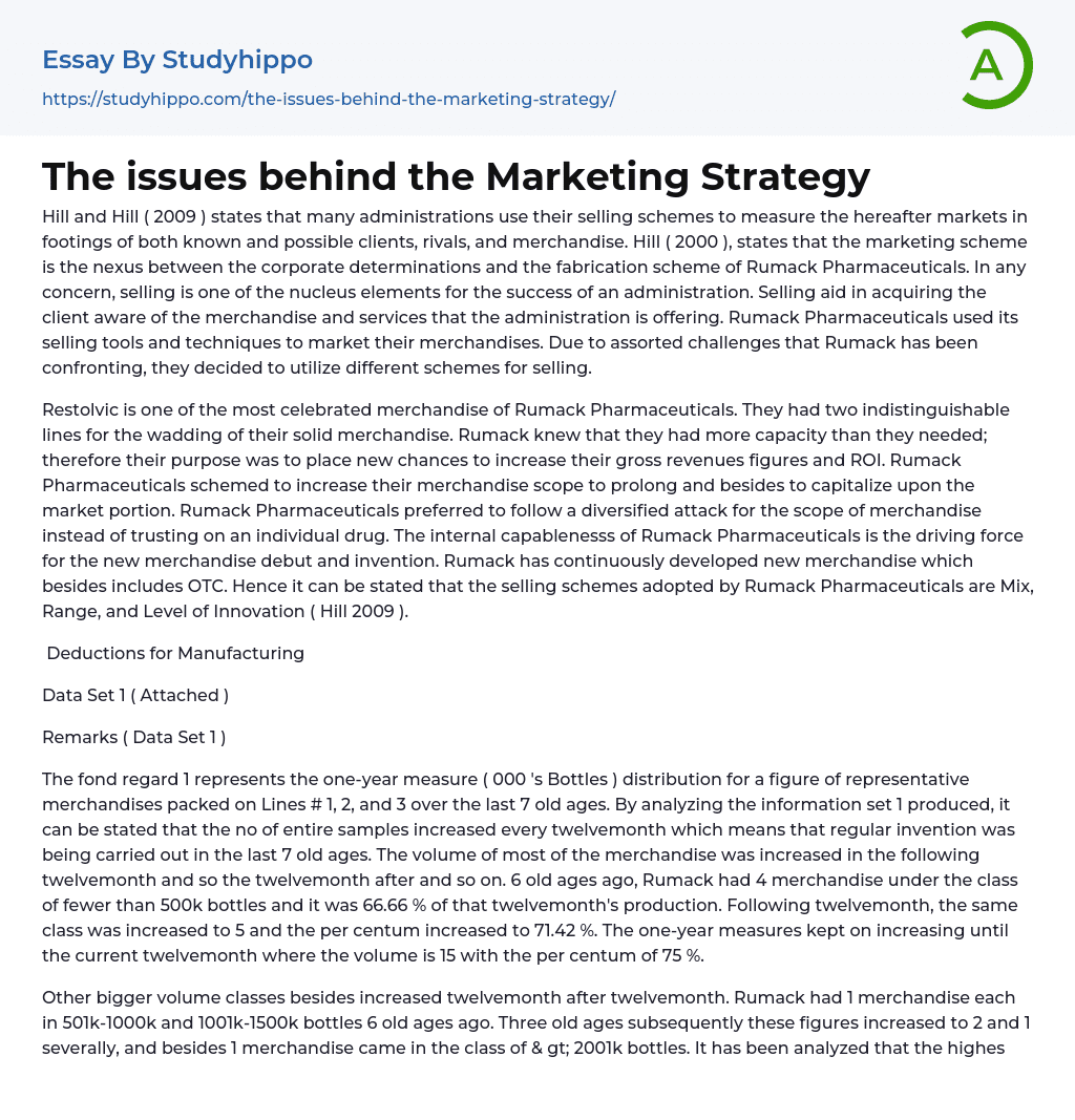 The issues behind the Marketing Strategy Essay Example