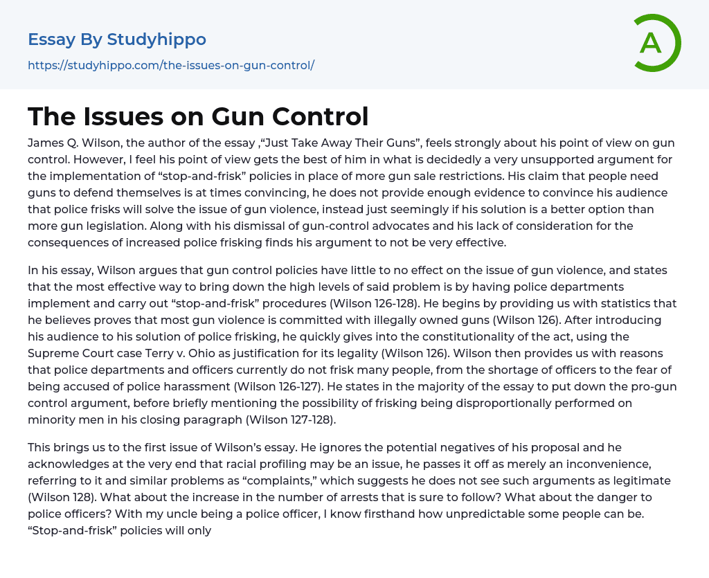 gun control essay example