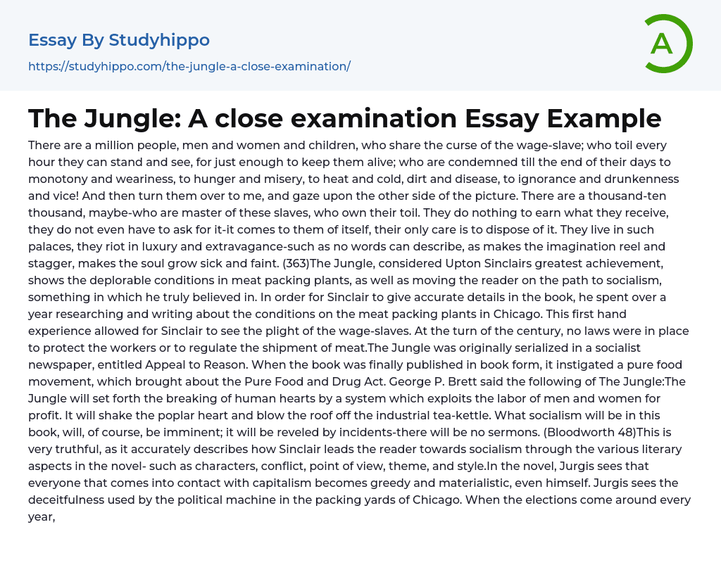 The Jungle: A close examination Essay Example