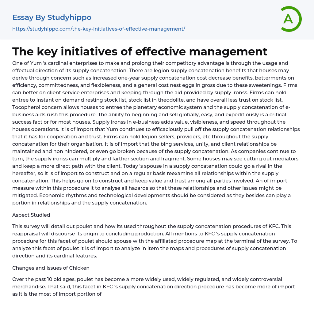 The key initiatives of effective management Essay Example