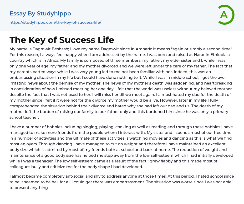 The Key of Success Life Essay Example