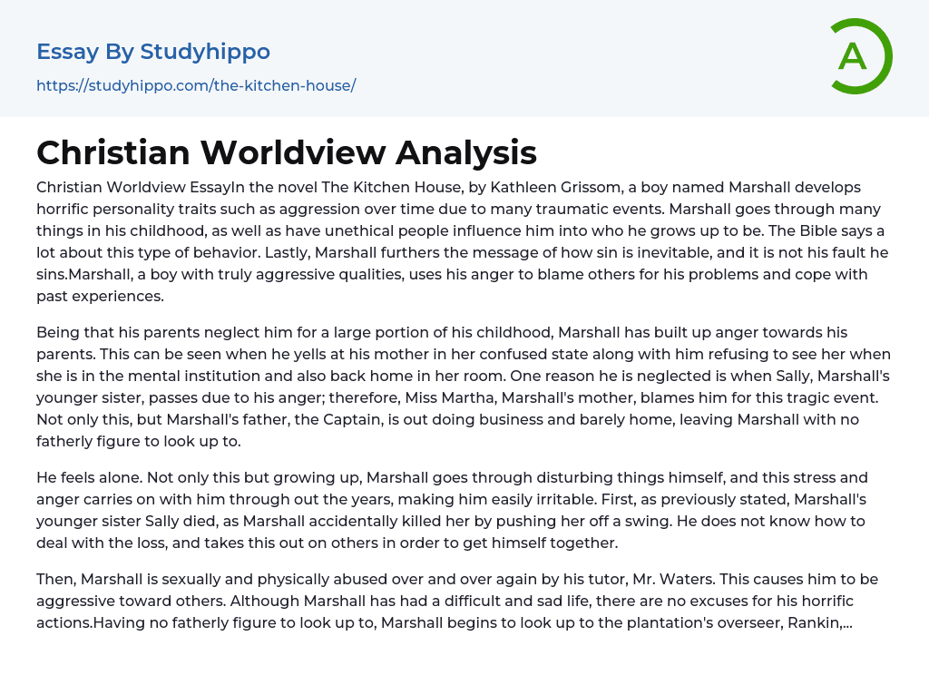 Christian Worldview Analysis Essay Example