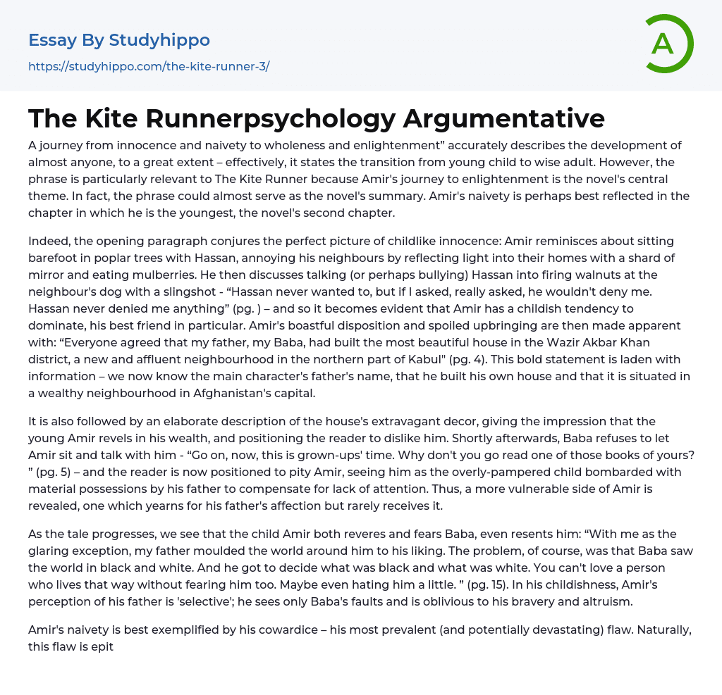The Kite Runnerpsychology Argumentative Essay Example