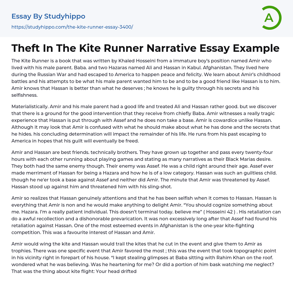Theft In The Kite Runner Narrative Essay Example