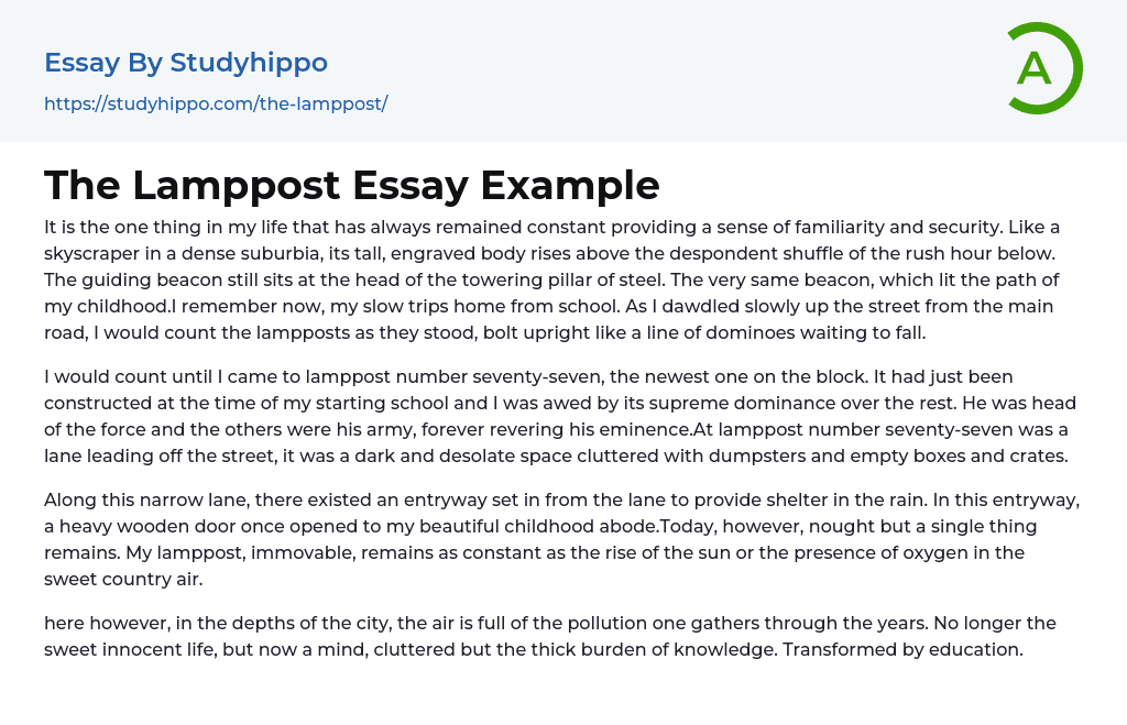 The Lamppost Essay Example