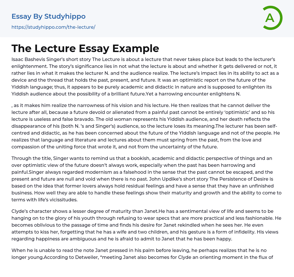 The Lecture Essay Example