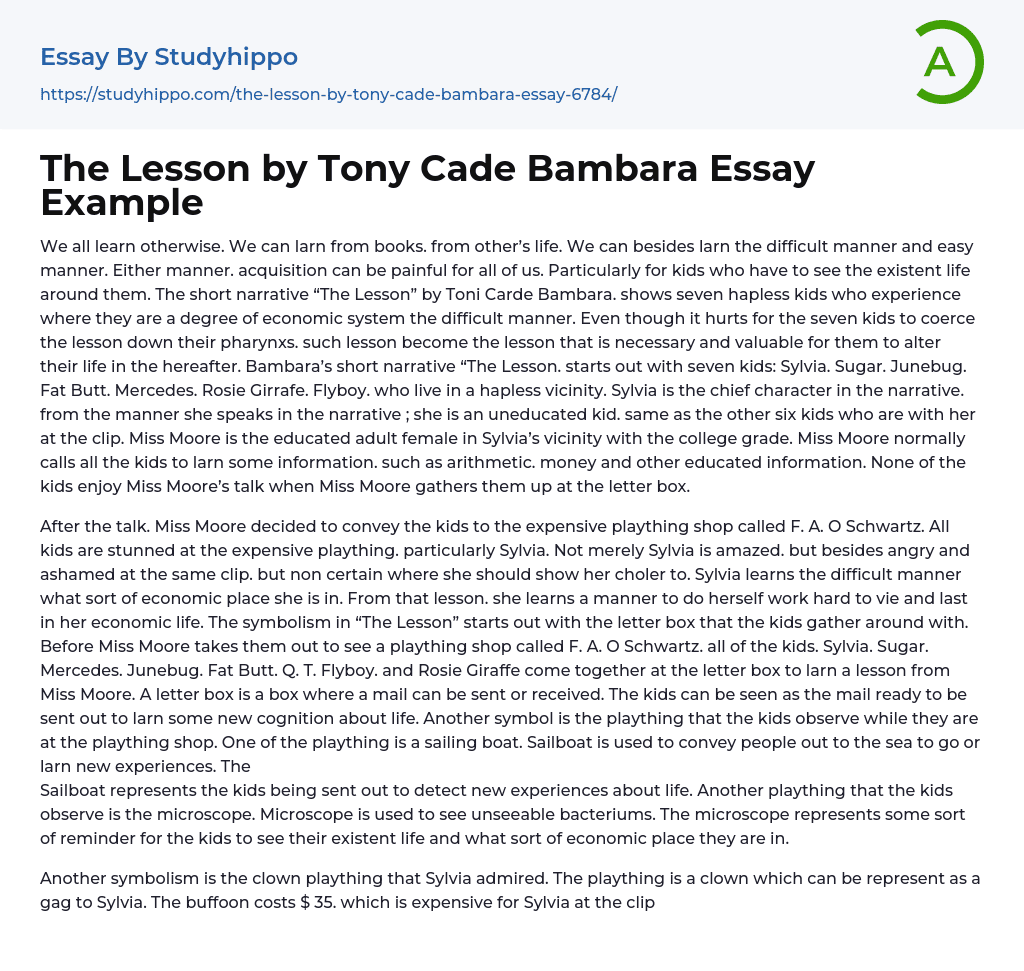 The Lesson by Tony Cade Bambara Essay Example