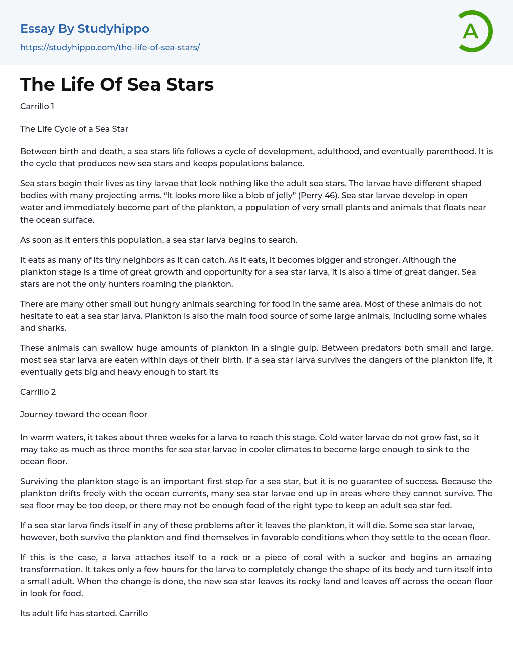 The Life Of Sea Stars Essay Example