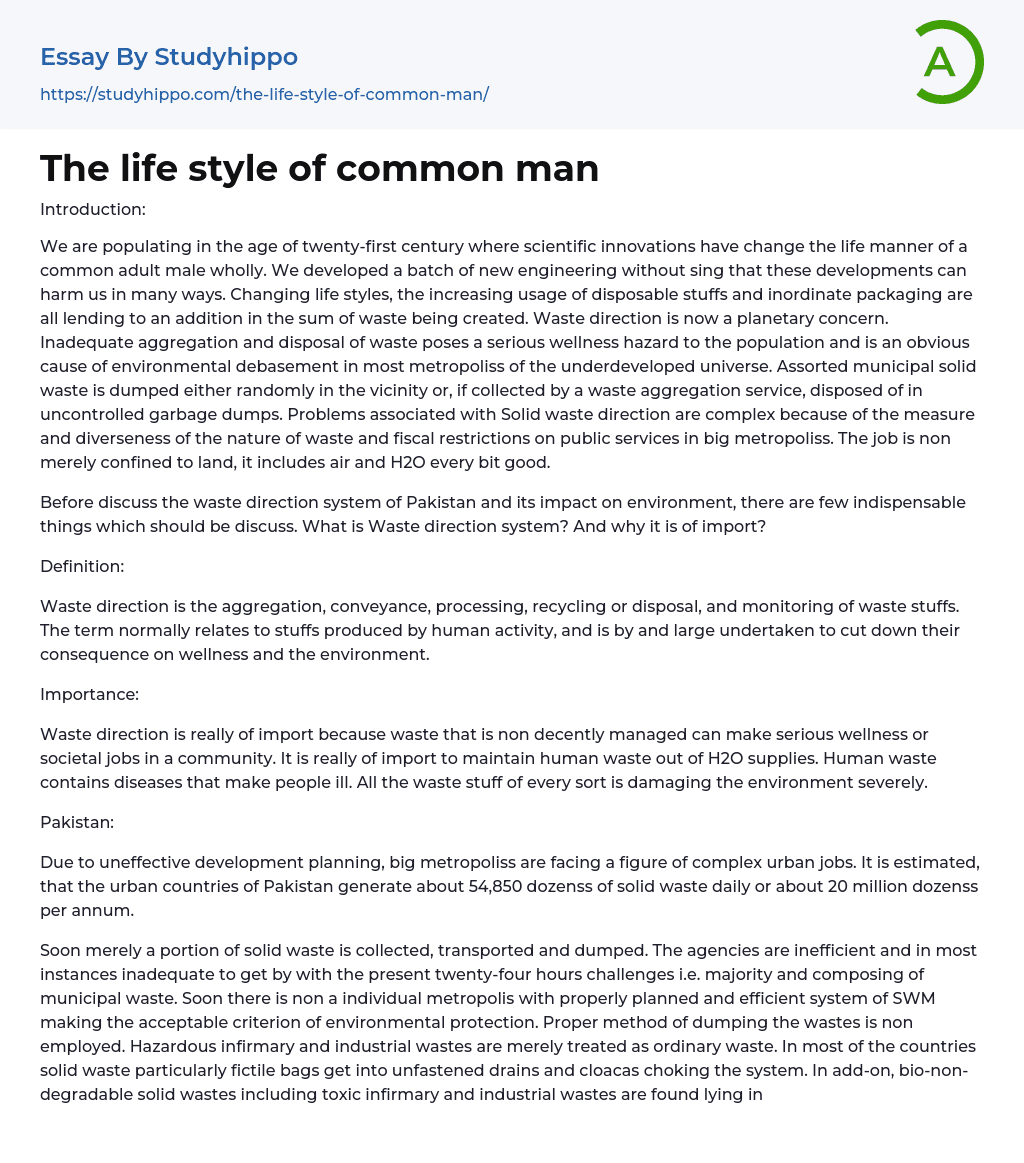 The life style of common man Essay Example