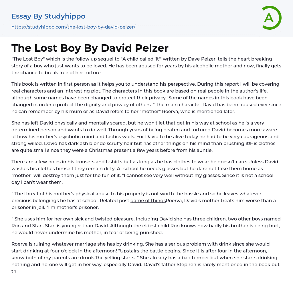 The Lost Boy By David Pelzer Essay Example