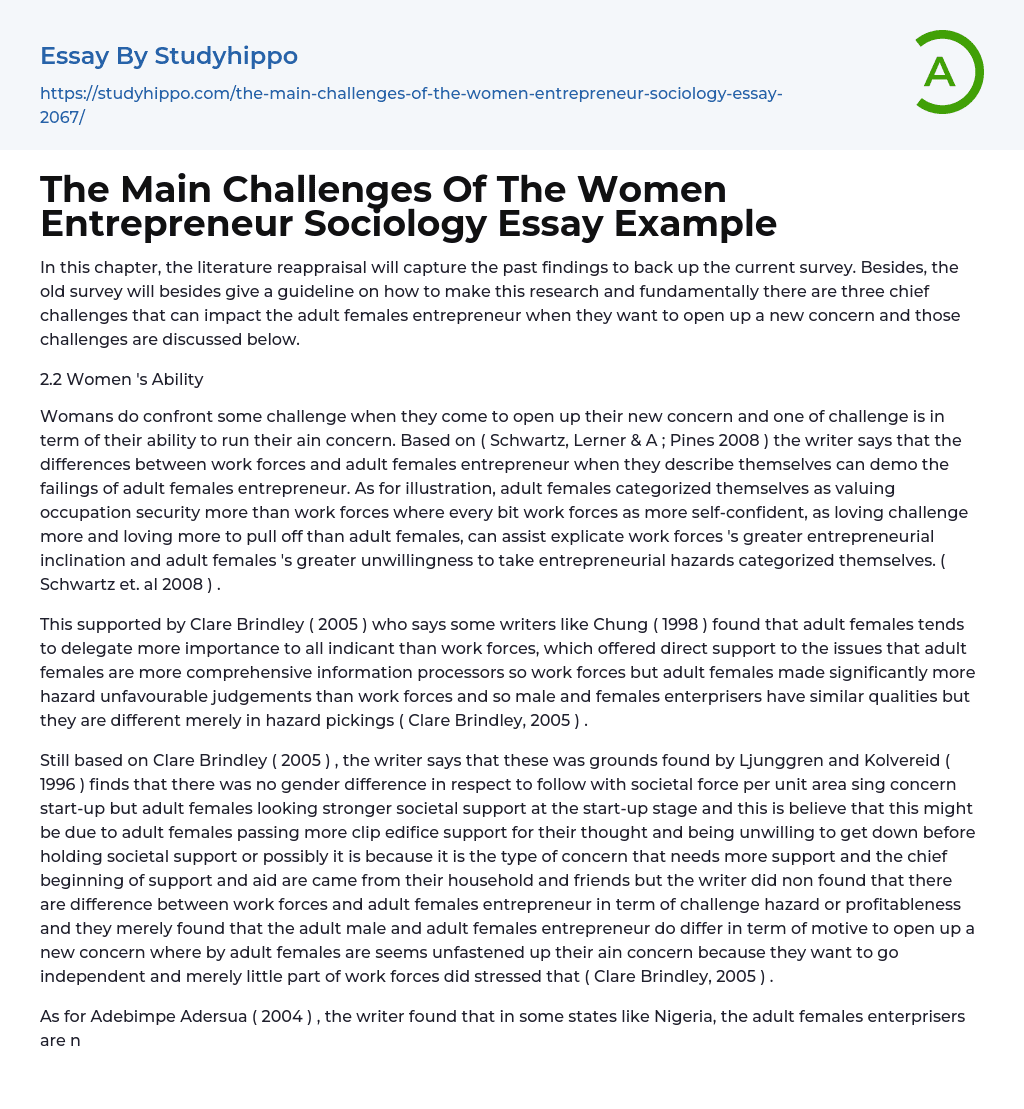 The Main Challenges Of The Women Entrepreneur Sociology Essay Example