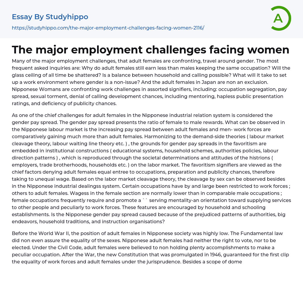 The major employment challenges facing women Essay Example