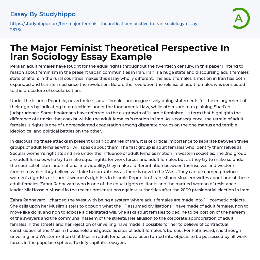 The Major Feminist Theoretical Perspective In Iran Sociology Essay Example