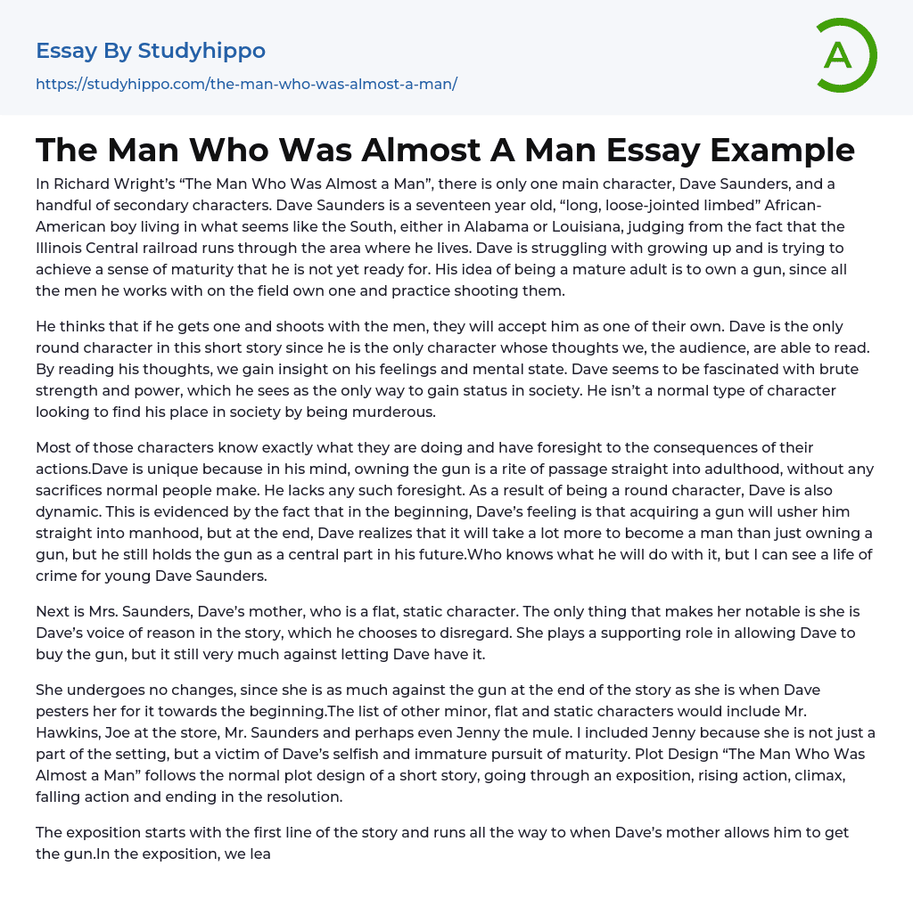 The Man Who Was Almost A Man Essay Example