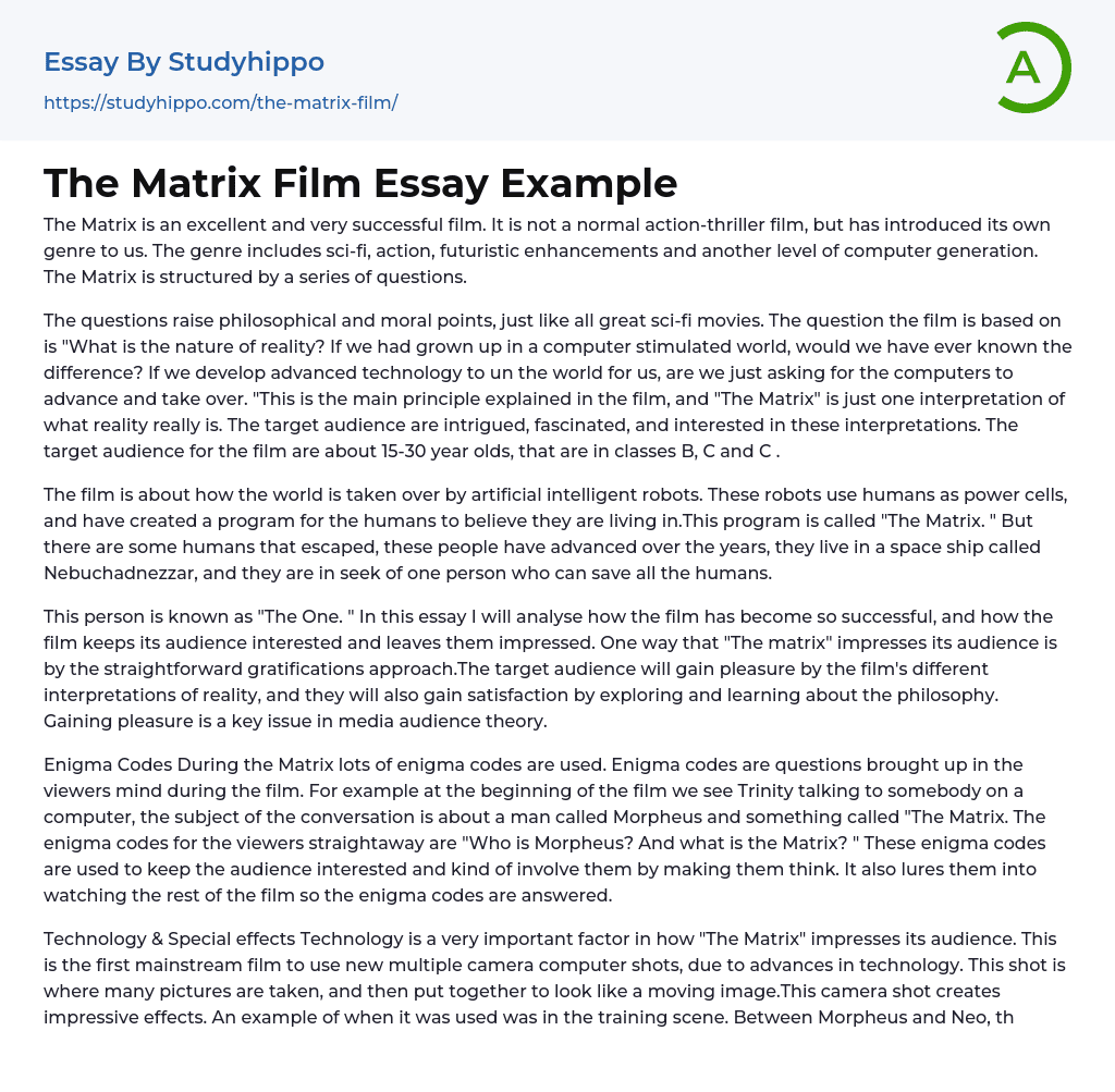 The Matrix Film Essay Example