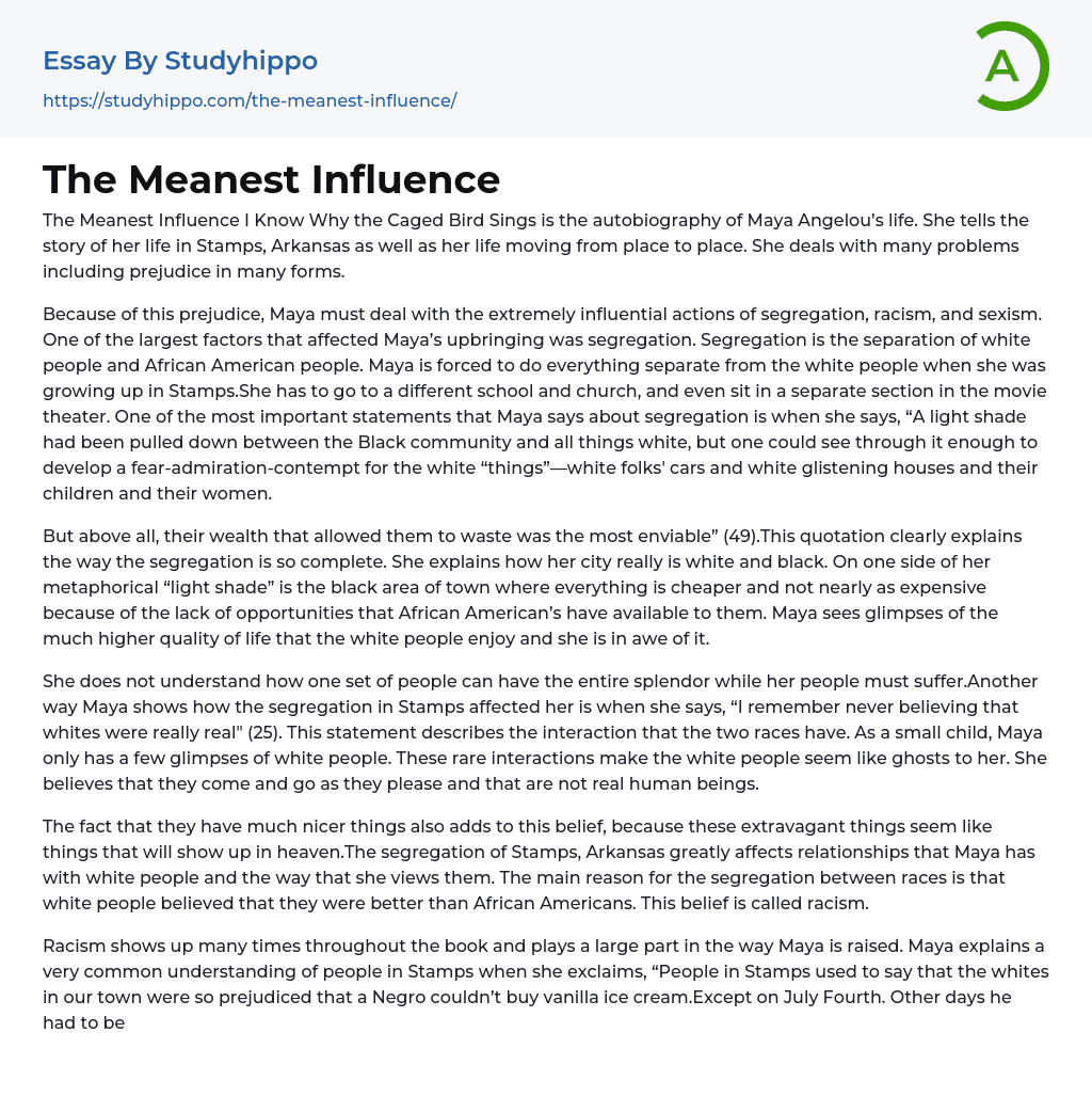 The Meanest Influence Essay Example