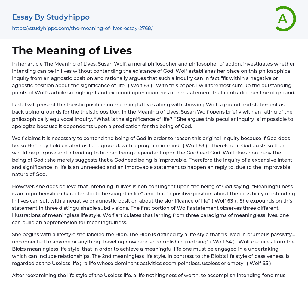 The Meaning of Lives Essay Example