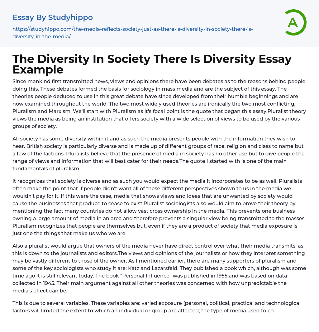 The Diversity In Society There Is Diversity Essay Example