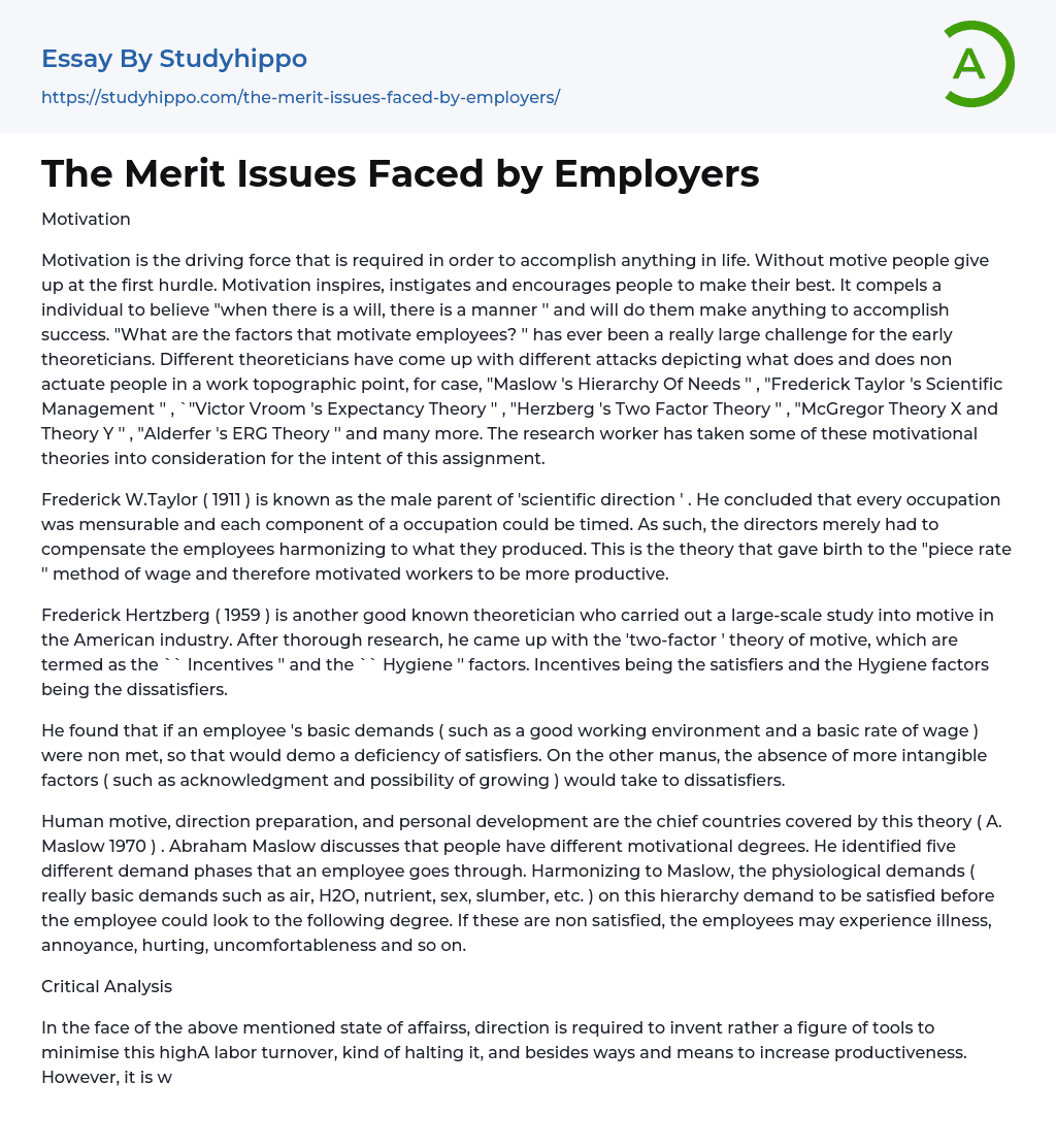 The Merit Issues Faced by Employers Essay Example