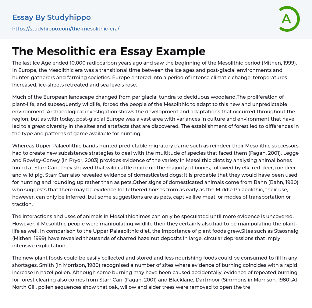 The Mesolithic era Essay Example