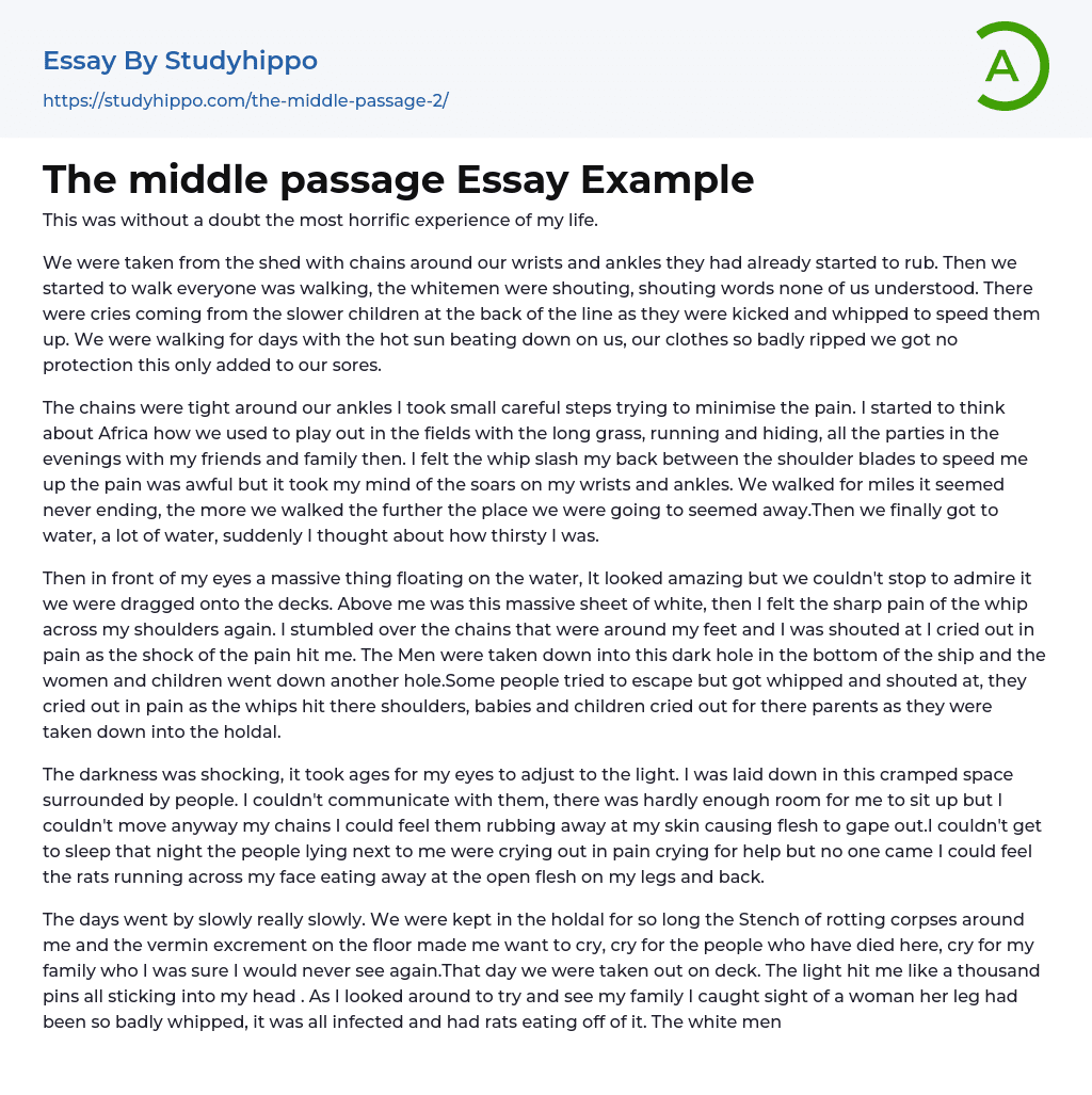 The middle passage Essay Example