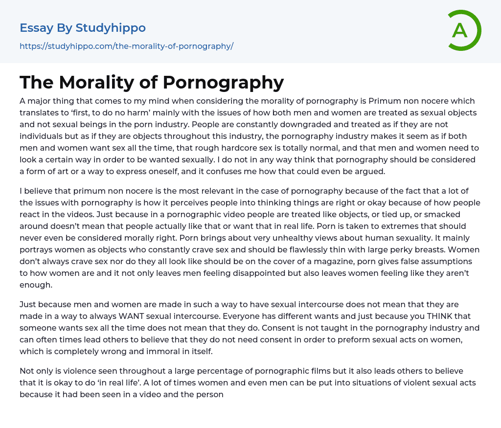 The Morality of Pornography Essay Example