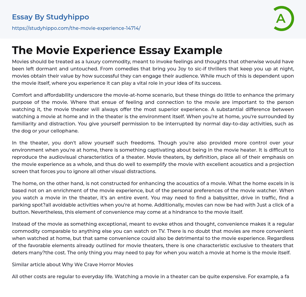 The Movie Experience Essay Example