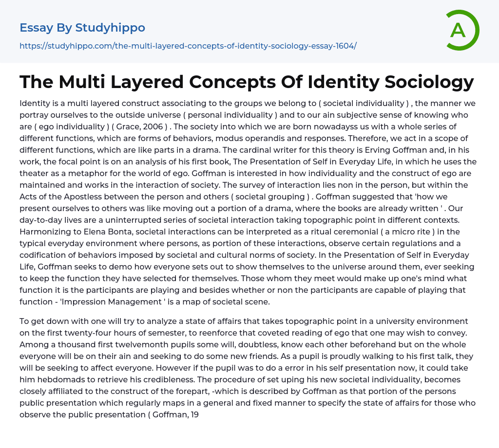 The Multi Layered Concepts Of Identity Sociology Essay Example