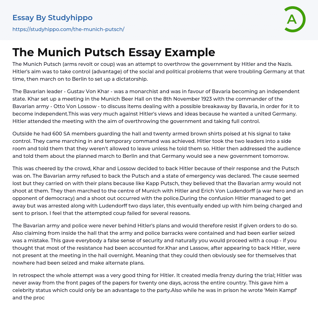The Munich Putsch Essay Example