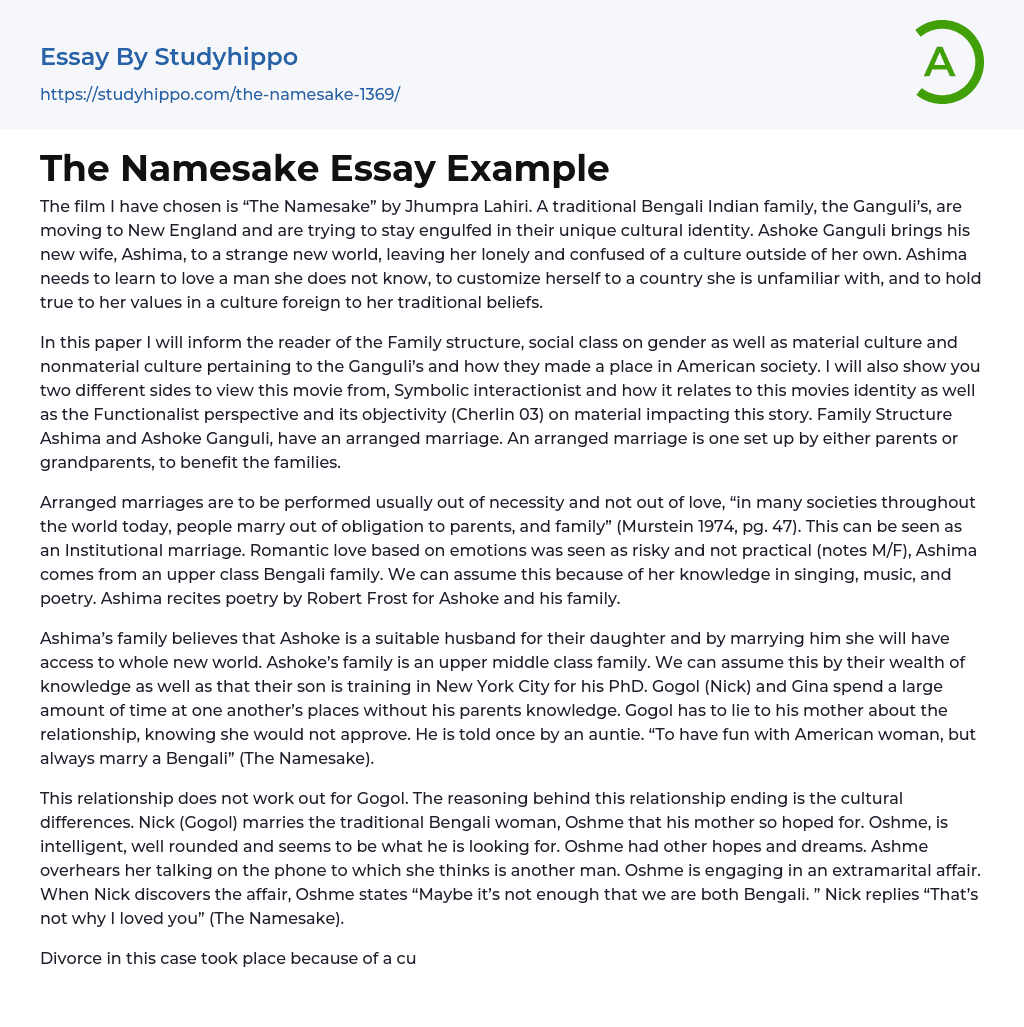 The Namesake Essay Example