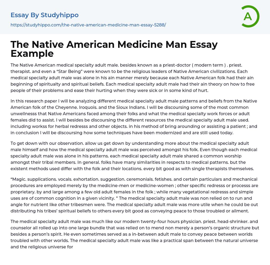 The Native American Medicine Man Essay Example