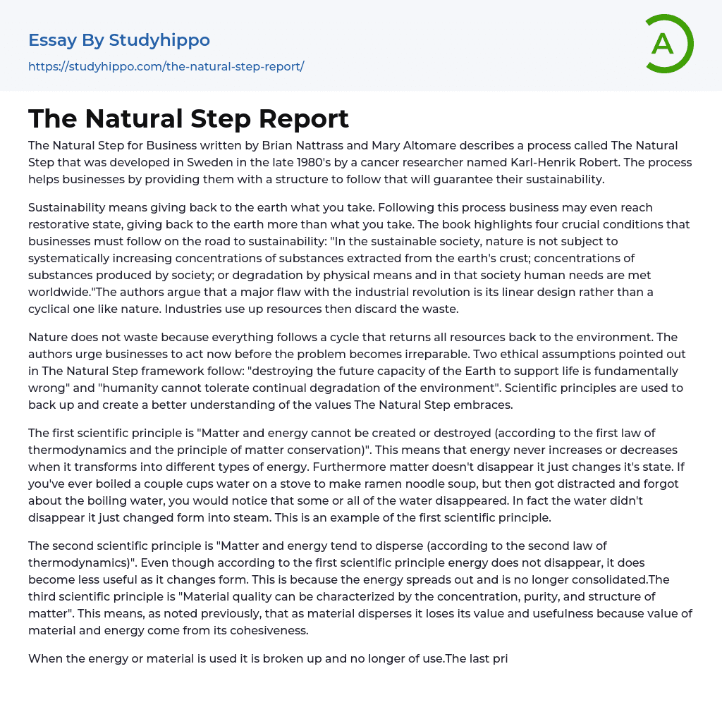 The Natural Step Report Essay Example