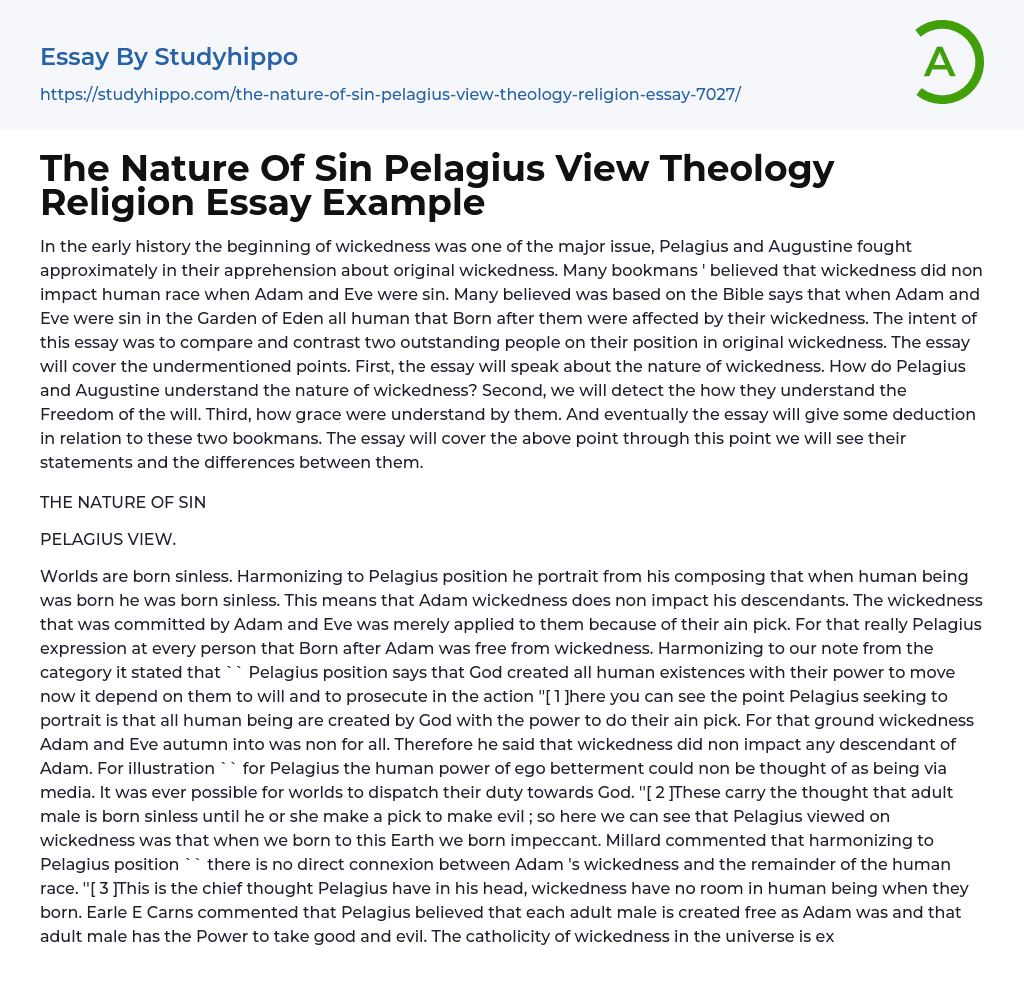 The Nature Of Sin Pelagius View Theology Religion Essay Example