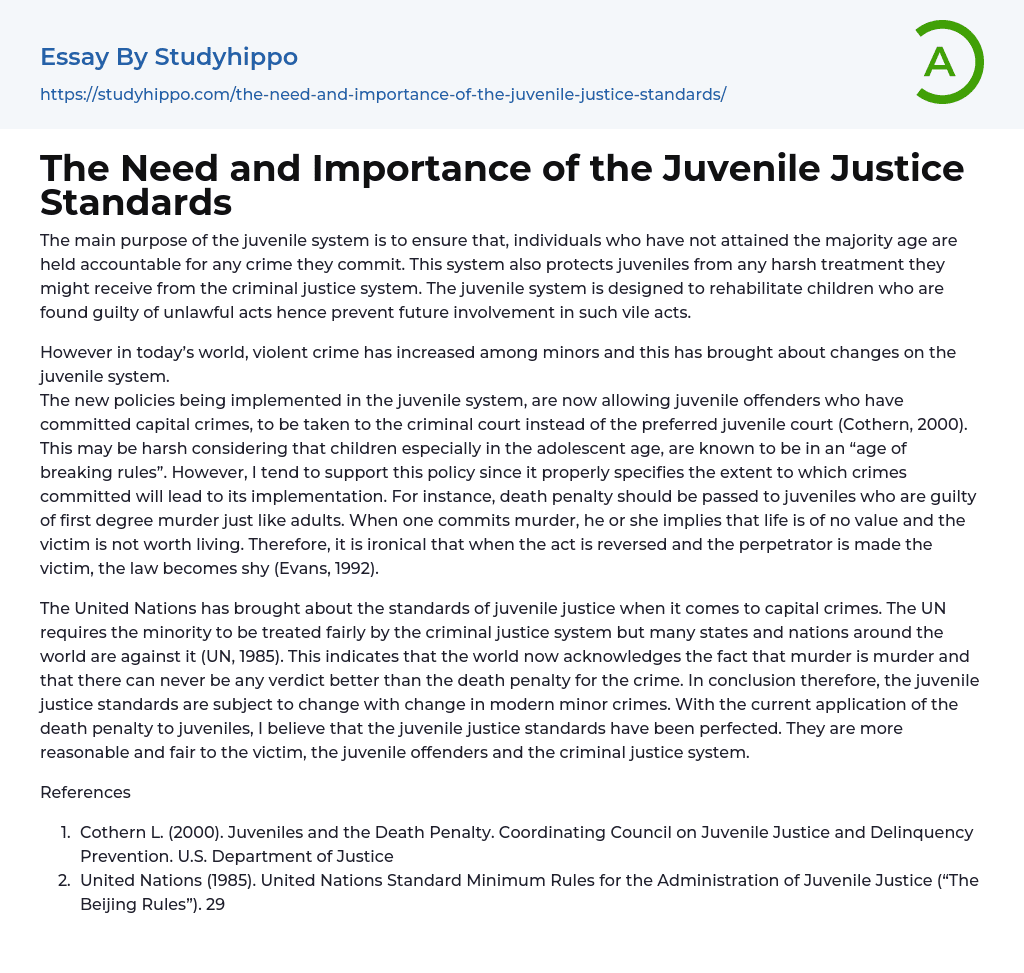 The Need and Importance of the Juvenile Justice Standards Essay Example