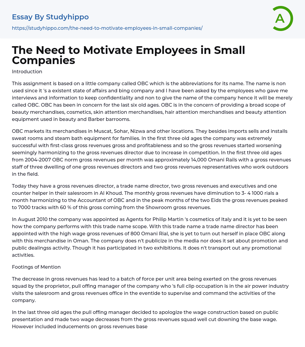 The Need to Motivate Employees in Small Companies Essay Example