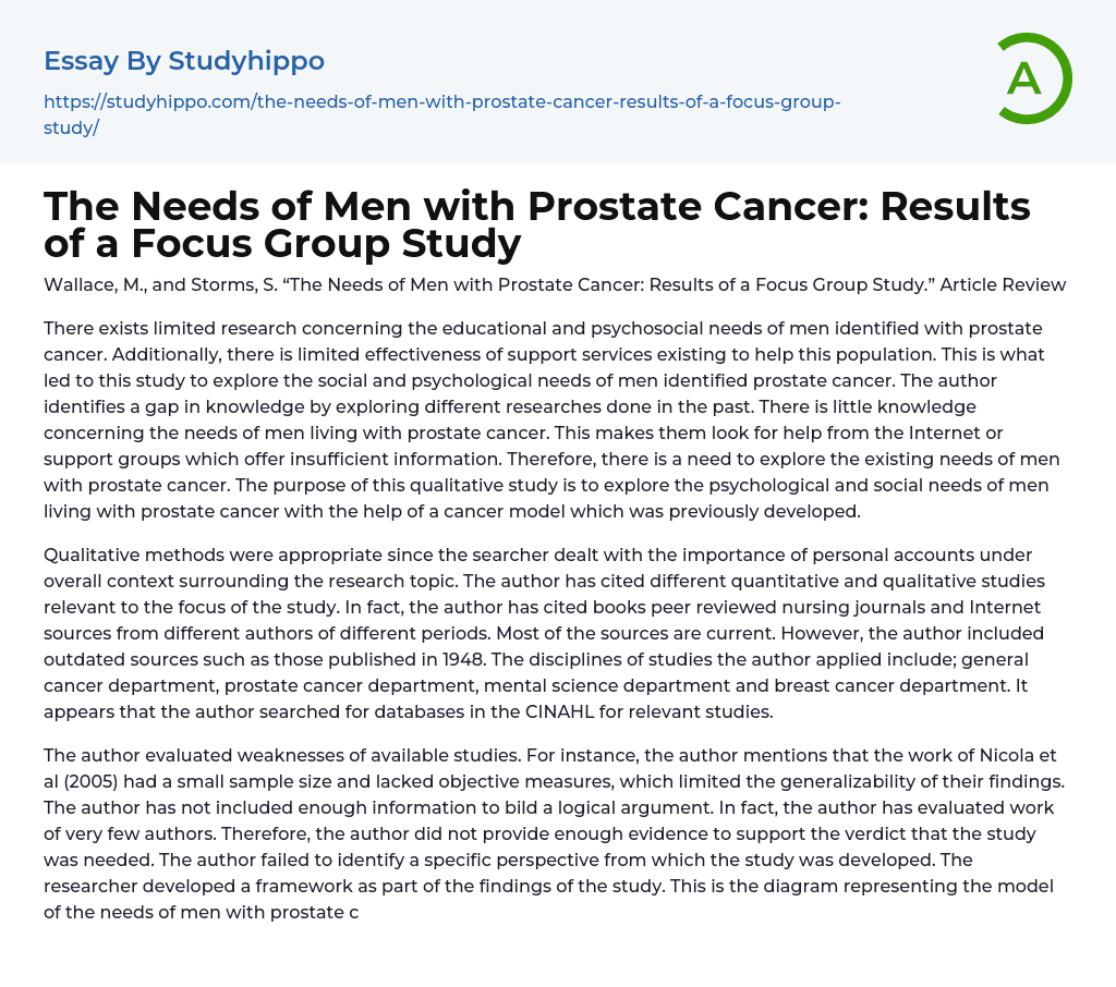 The Needs of Men with Prostate Cancer: Results of a Focus Group Study Essay Example