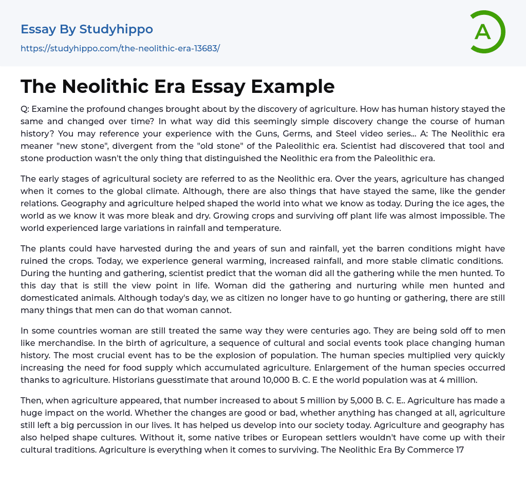 The Neolithic Era Essay Example