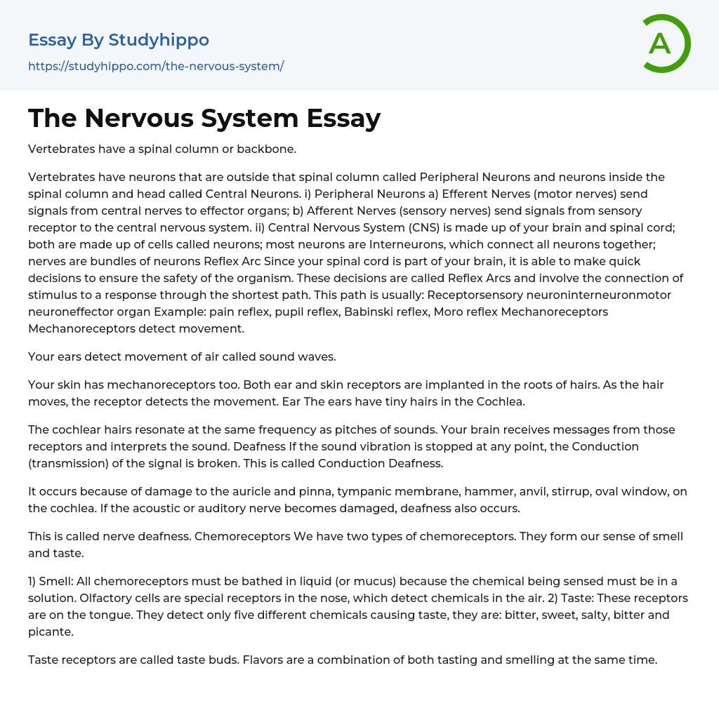 informative essay about nervous system