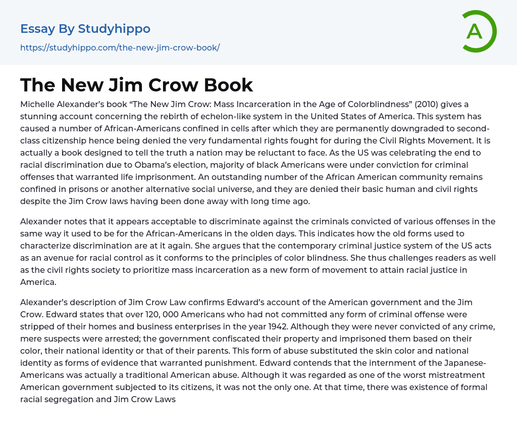 The New Jim Crow Book Essay Example