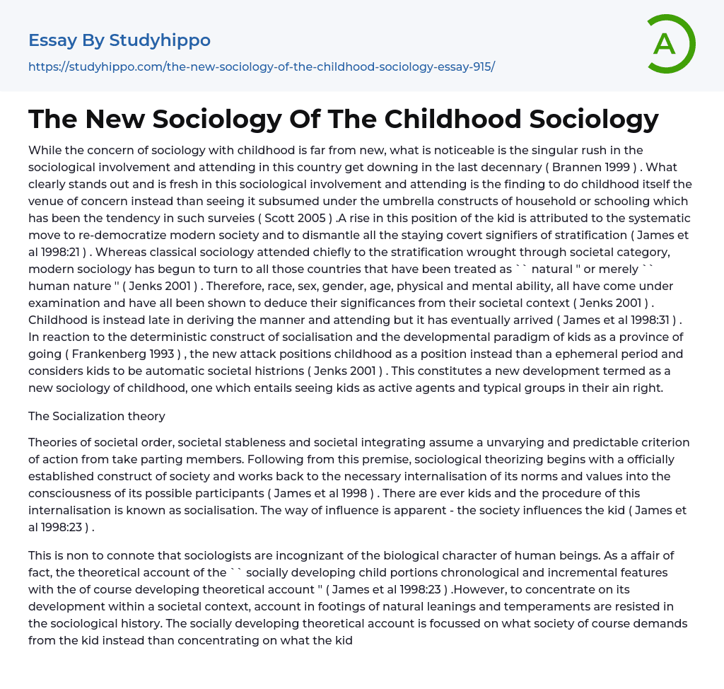 The New Sociology Of The Childhood Sociology Essay Example