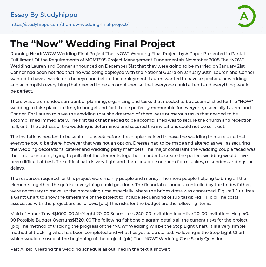 The “Now” Wedding Final Project Essay Example