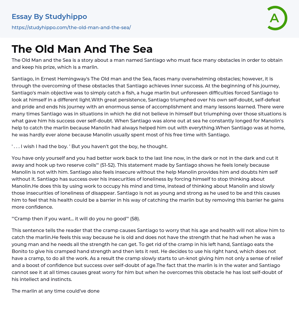 The Old Man And The Sea Essay Example