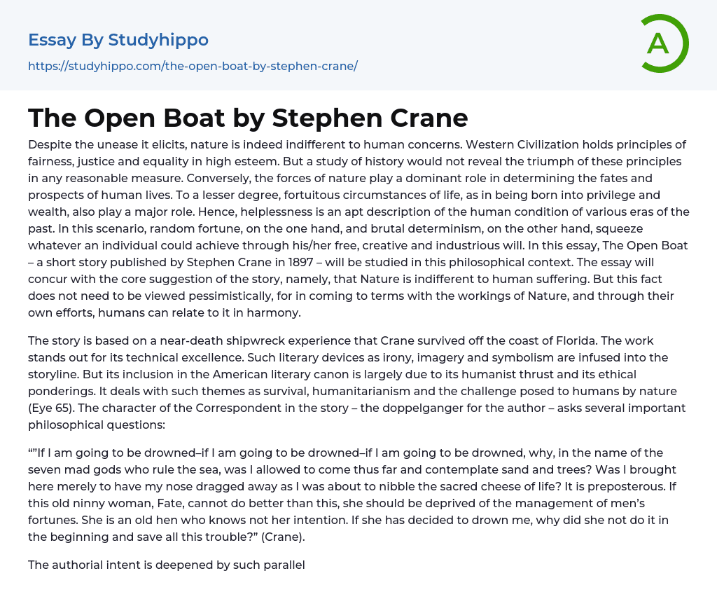 The Open Boat by Stephen Crane Essay Example