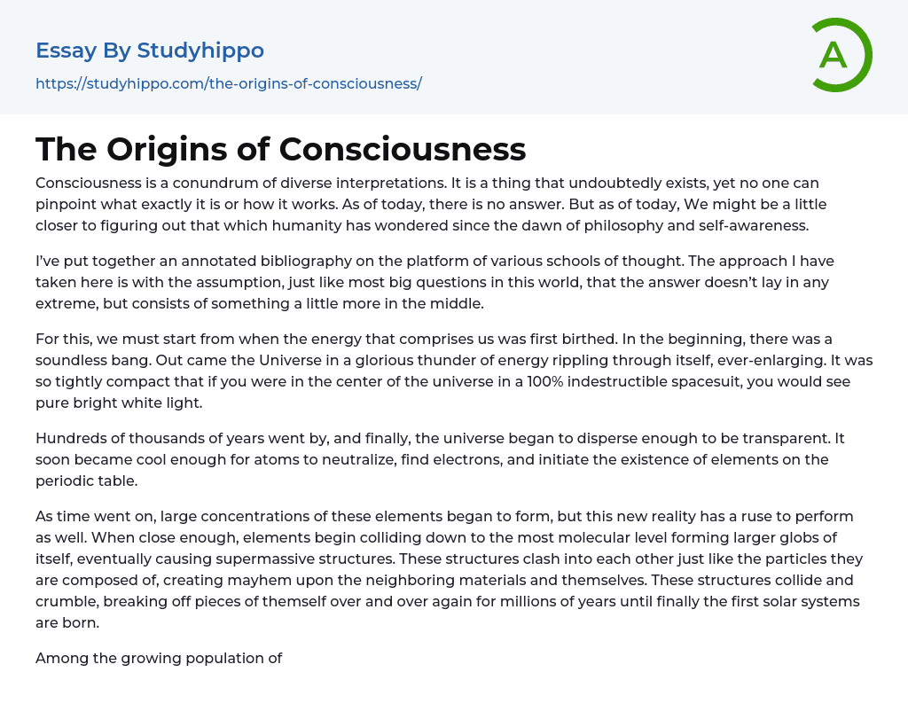 The Origins of Consciousness Essay Example