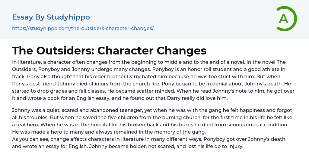 The Outsiders: Character Changes Essay Example