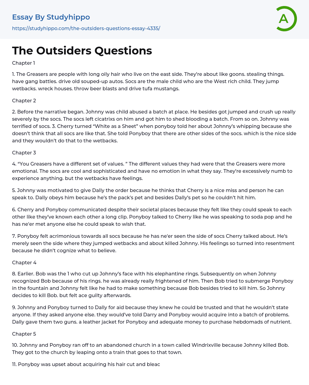 The Outsiders Questions Essay Example